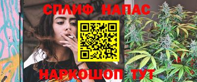 спиды Шелехов