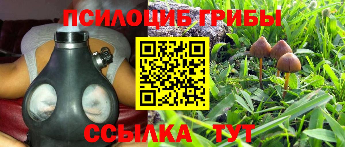 Галлюциногенные грибы Psilocybe Еманжелинск