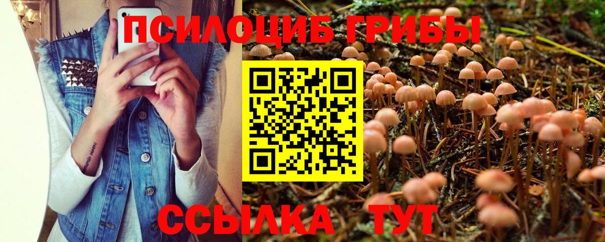Псилоцибиновые грибы Psilocybe  Вход с VPN  Галлюциногенные грибы Cubensis  Еманжелинск 
